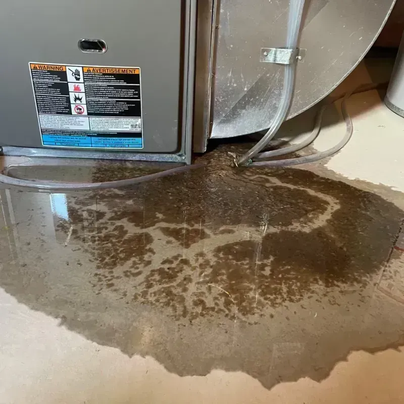 Appliance Leak Cleanup in Mineral County, CO